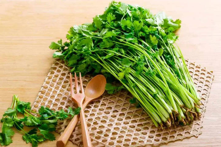 Coriander leaves